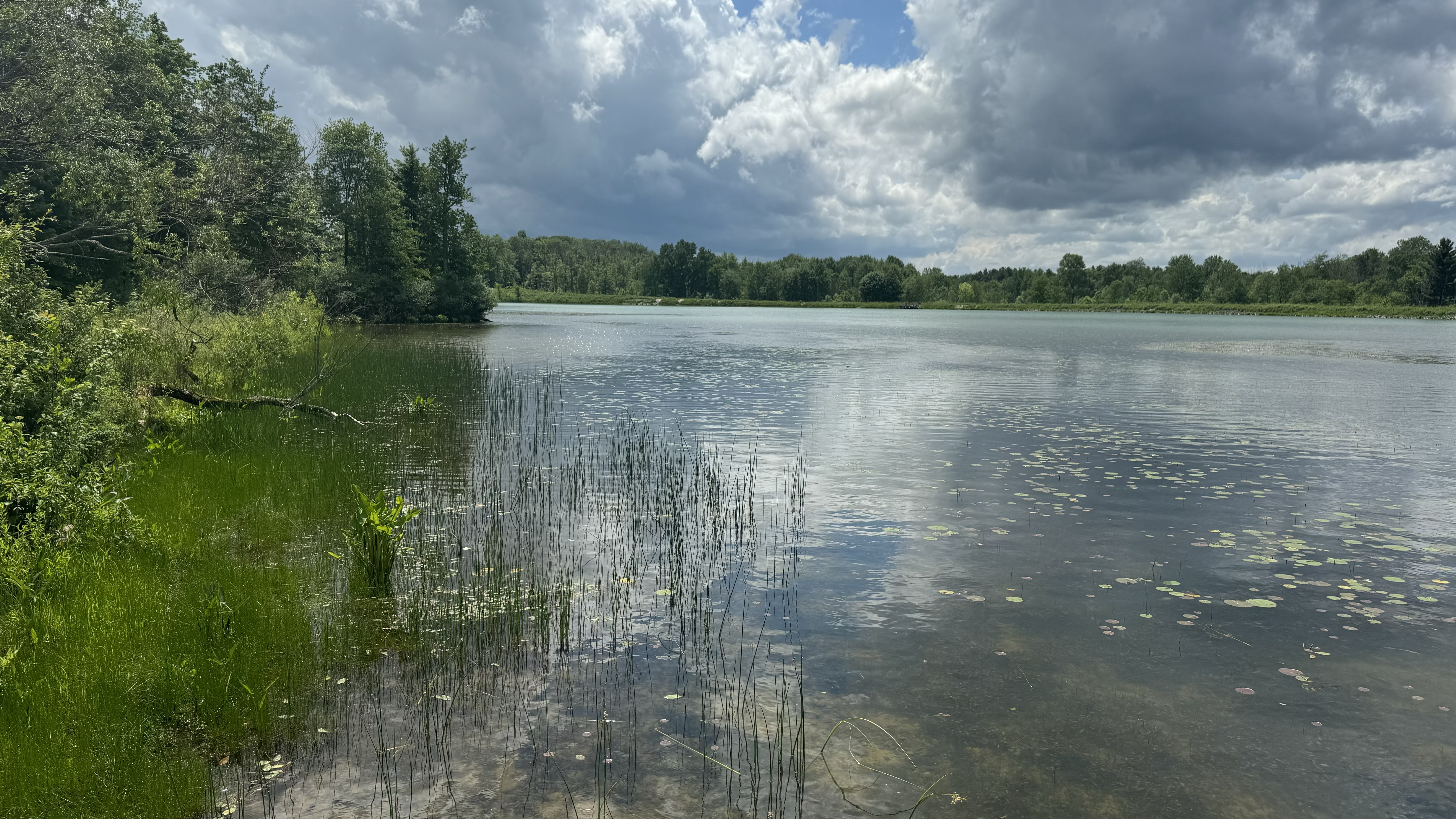 A friendly greeting graphic